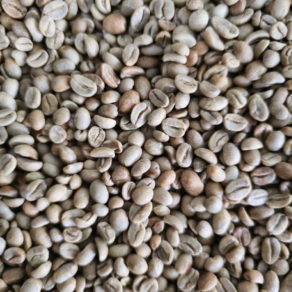 

Sunda Wangi | Green Beans Kopi Arabika Sunda Honey- 1Kg (GRATIS ONGKIR)