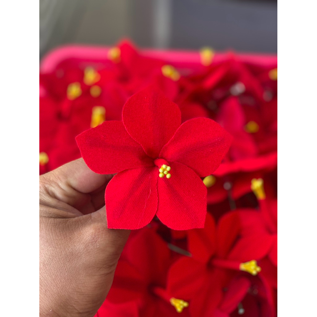 cucuk bunga beludru/pucuk beludru s