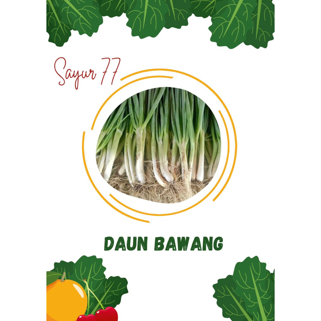 

DAUN BAWANG DAUN SELEDRI 1 pack