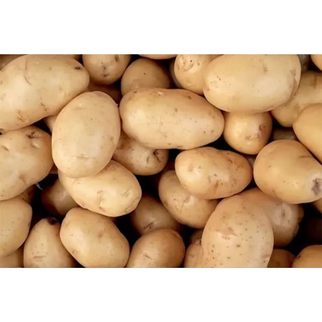 

Kentang 500 gr