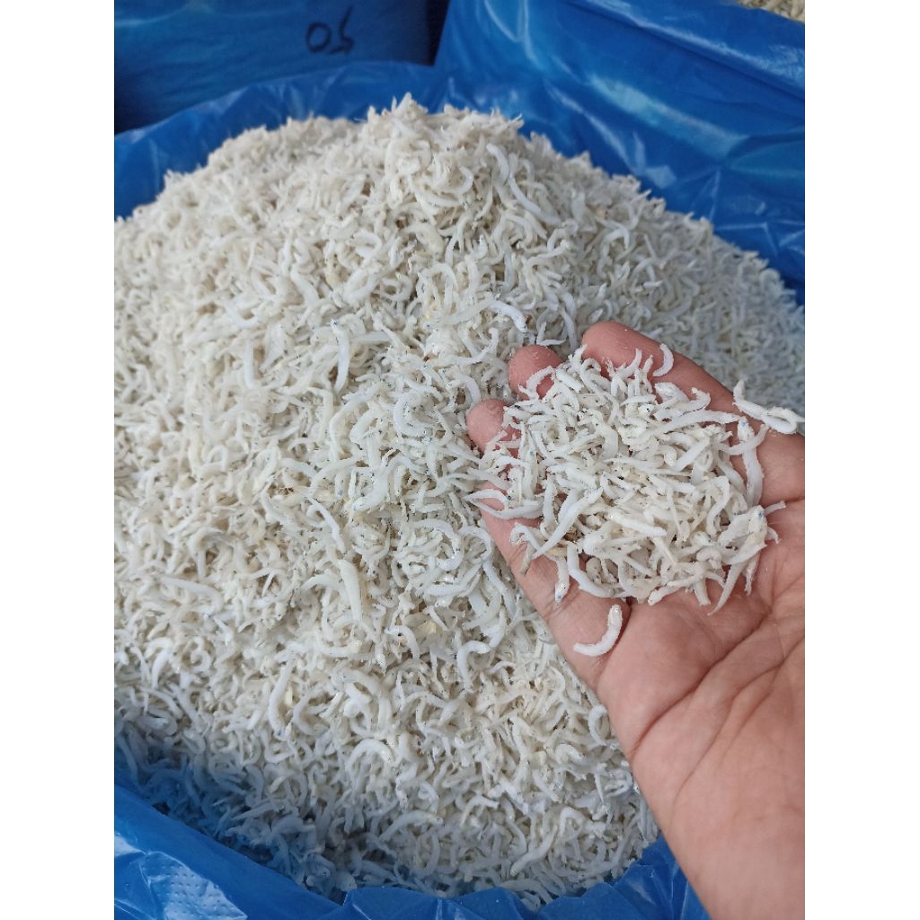 

Teri Medan/Teri Nasi/Teri Super Premium