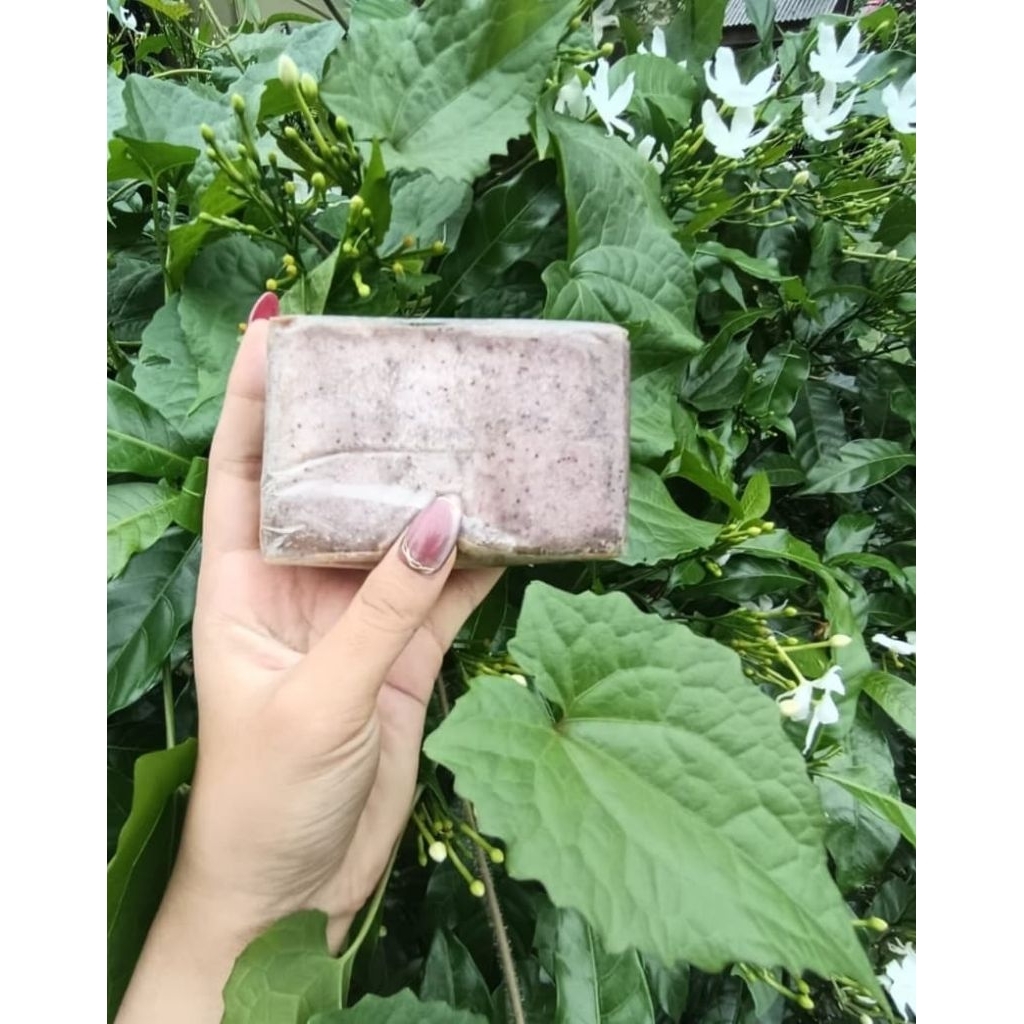 

terasi bangka toboali