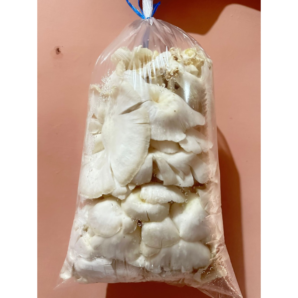 

Jamur Tiram Segar 1 kg