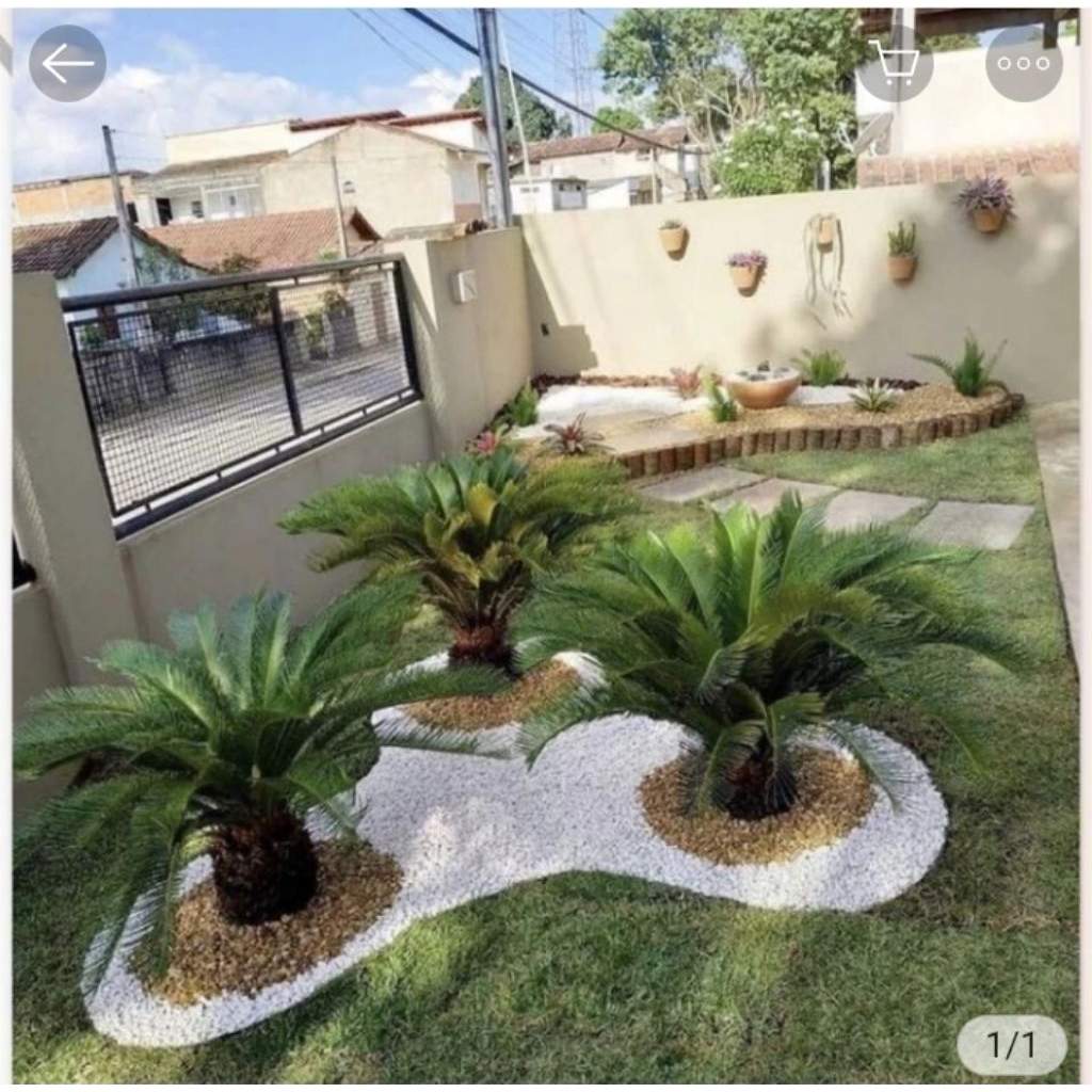 taman minimalis depan rumah