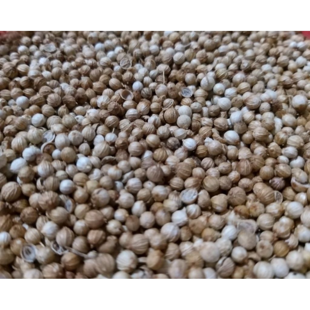 

Ketumbar 100 Gram Pilihan Hemat
