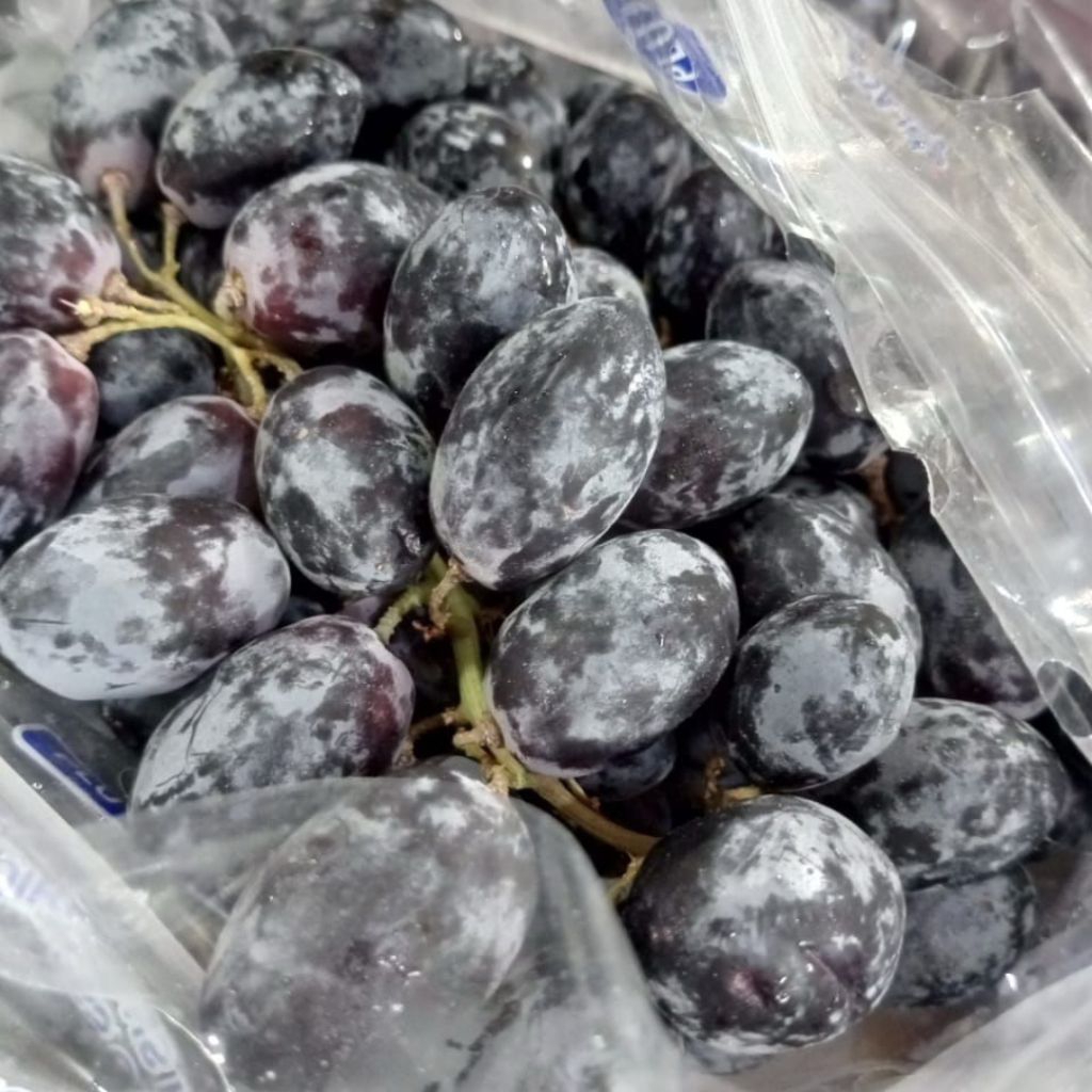 

BUAH ANGGUR HITAM IMPORT AUSTRALIA 1 DUS/ KRANJANG