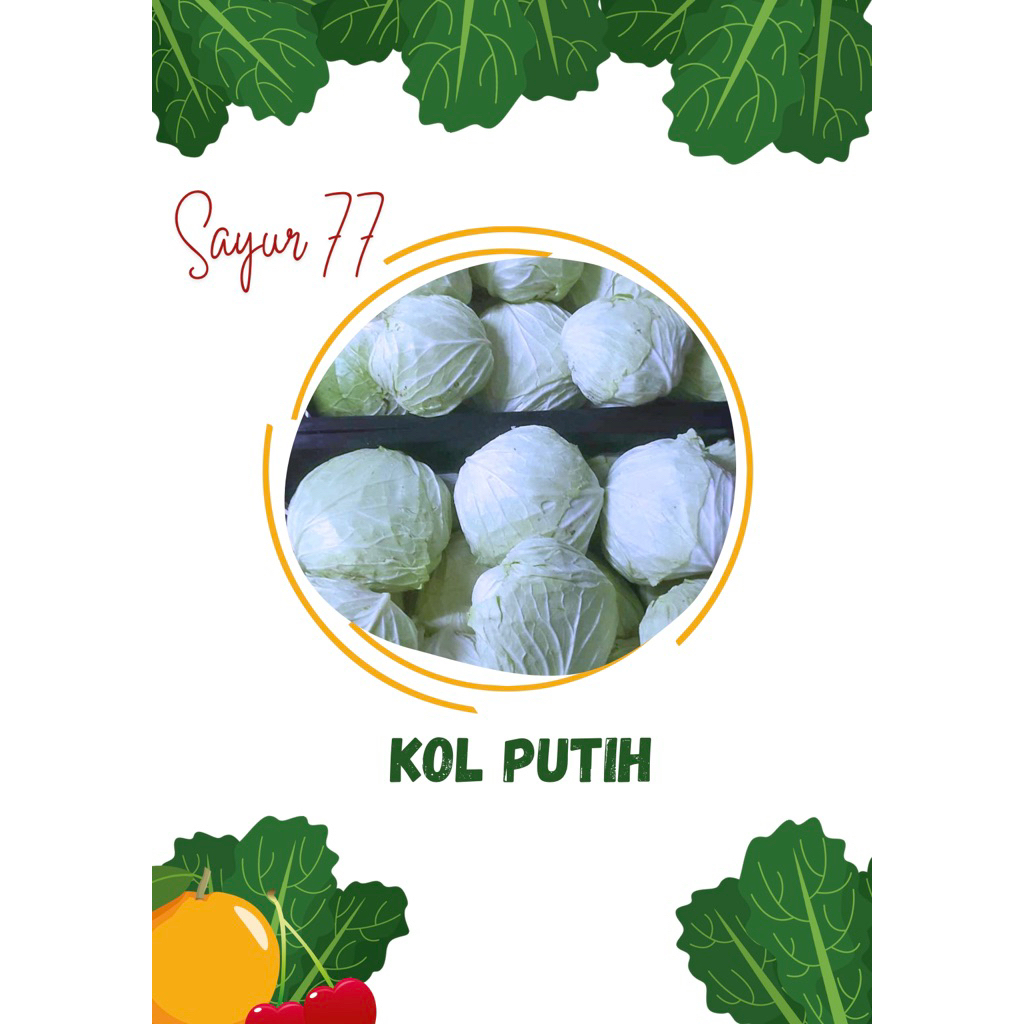 

KOL PUTIH 1 buah