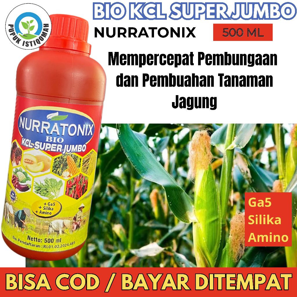 Nurratonix Bio Kcl 500 ml – Pupuk Cair Organik untuk Jagung, Percepat Tumbuh & Tongkol Lebih Besar