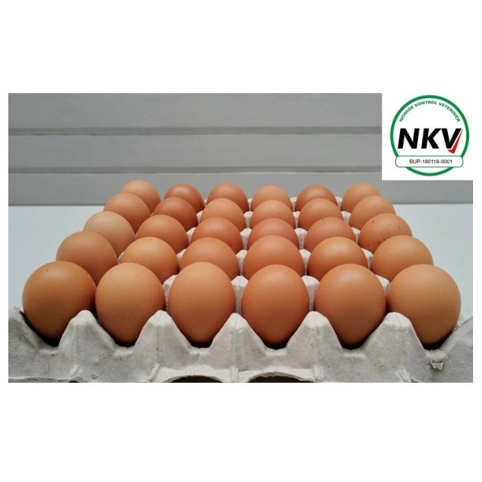

Fresh Eggs Telur Ayam Negeri 2.050 Kg Grade AA-A from Own Farm, Large Size Baker's Eggs