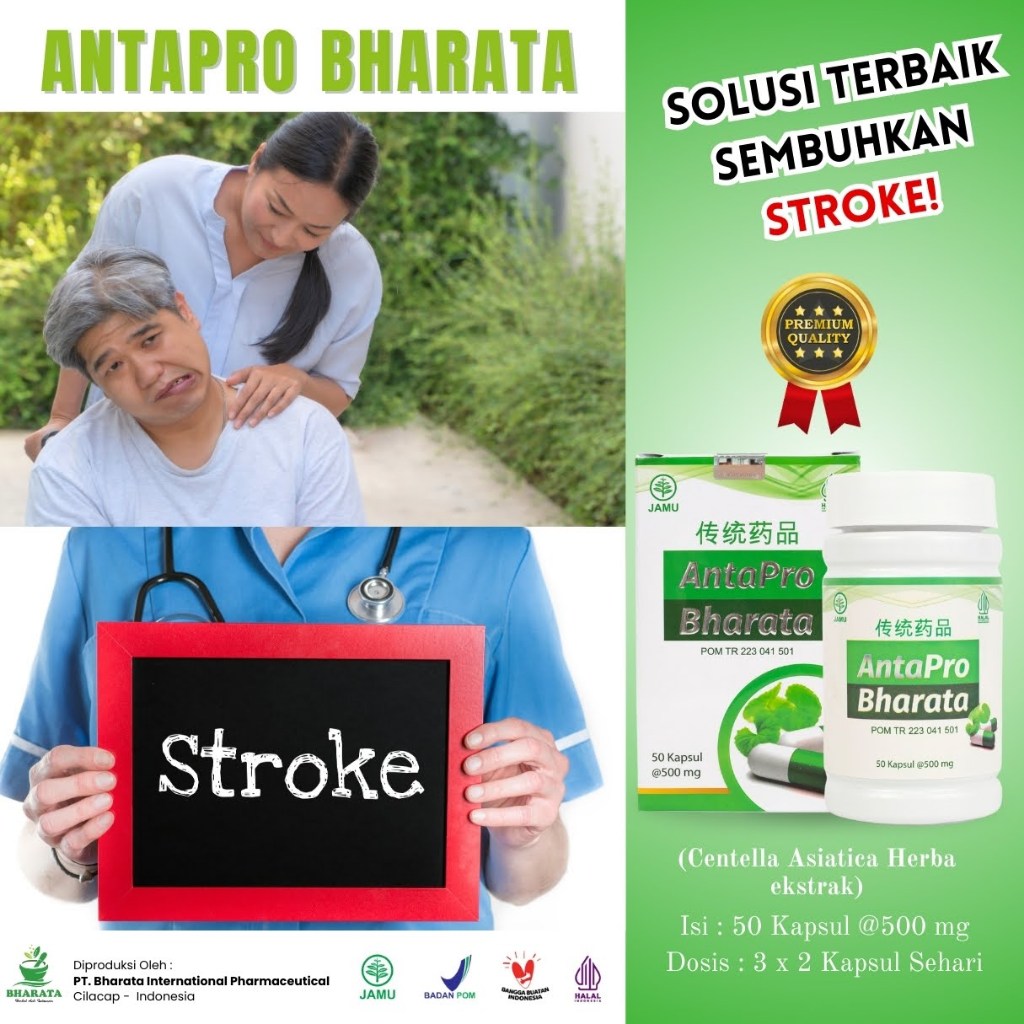 Antapro Bharata Official Shop