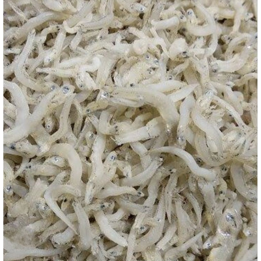 

IKAN TERI MEDAN/ IKAN ASIN TERI MEDAN/IKAN ASIN MEDAN 100GRAM-250GRAM