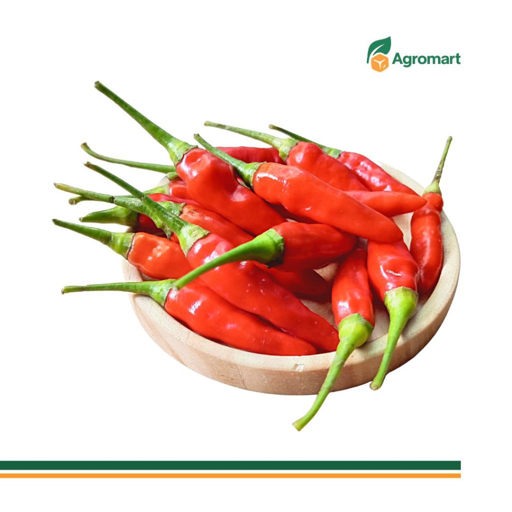 

Cabai Rawit Merah Segar 100 gr | Cabe Rawit Merah Pedas Food Prep