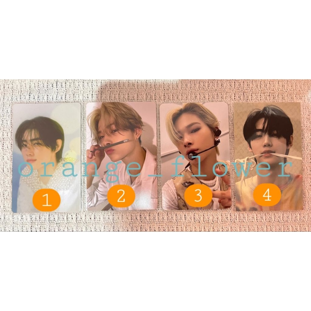 sunghoon pob target orange blood ob gigit tali ums dimension dilemma dd ni-ki riki sg24 season greet