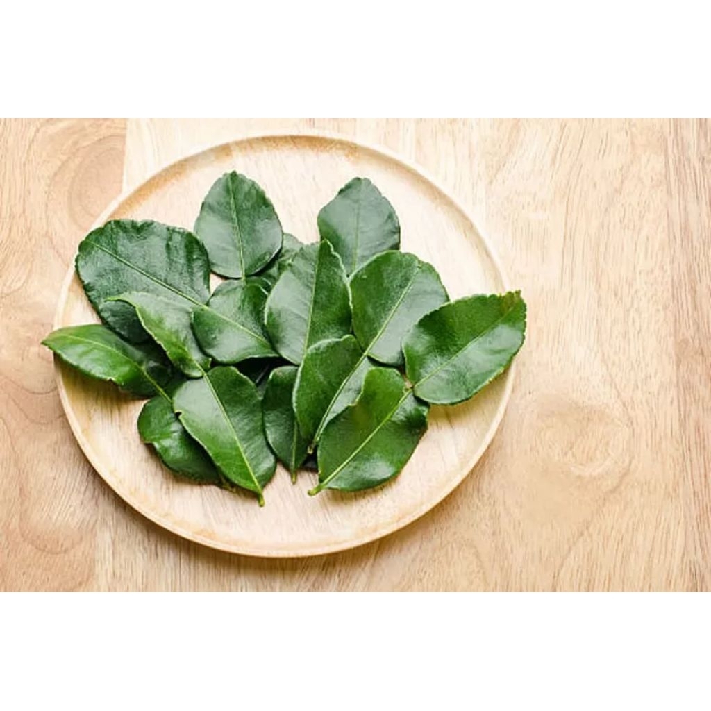 

DAUN JERUK PURUT SEGAR 30 lembar