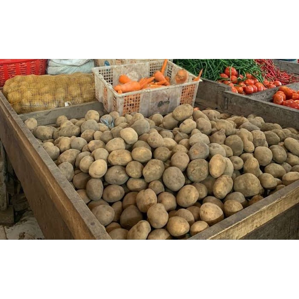 

Kentang Besar mulai 250gram