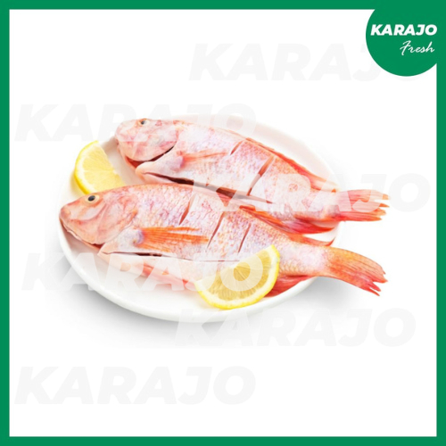 

Ikan Nila Merah Fresh 500g/1000g