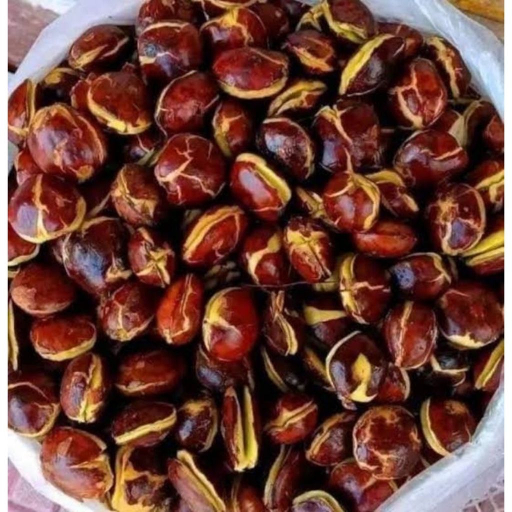

jengkol super 250gr