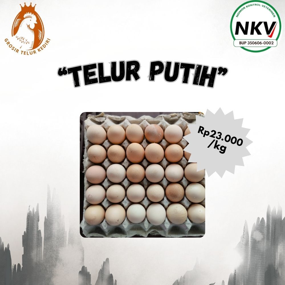 

NKV Telur Putih | Telur Ayam Negeri | Telur ayam 1 kg | Fresh | | Supplier | Distributor