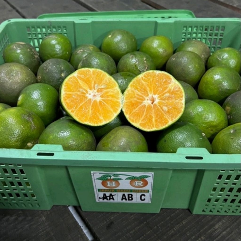 

Jeruk Madu Super Grade AA