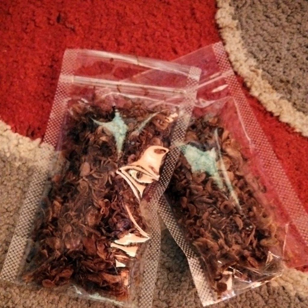 

BAWANG GORENG MERAH TANPA CAMPURAN 20g