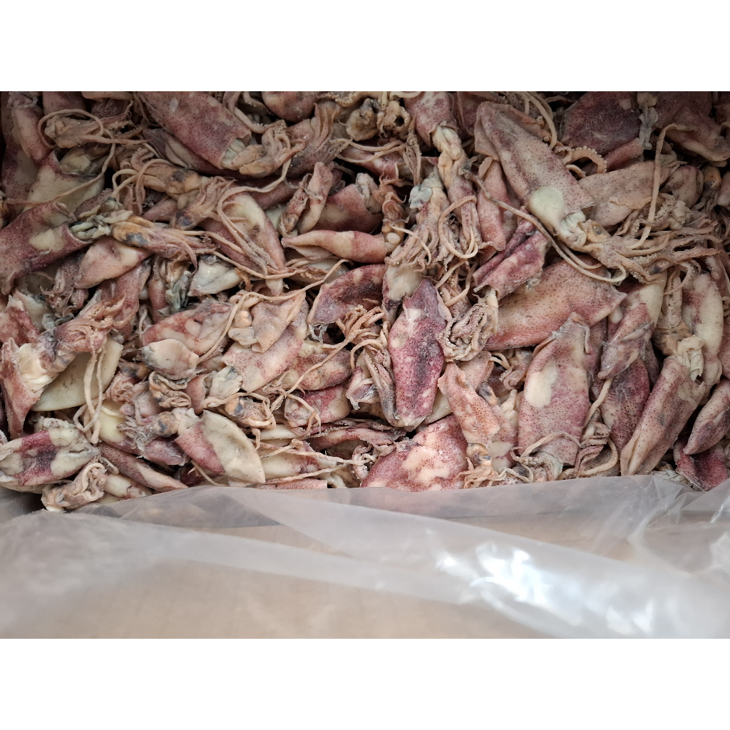 

Cumi Asin Kemasan 250 Gram Kering Cumi Pen