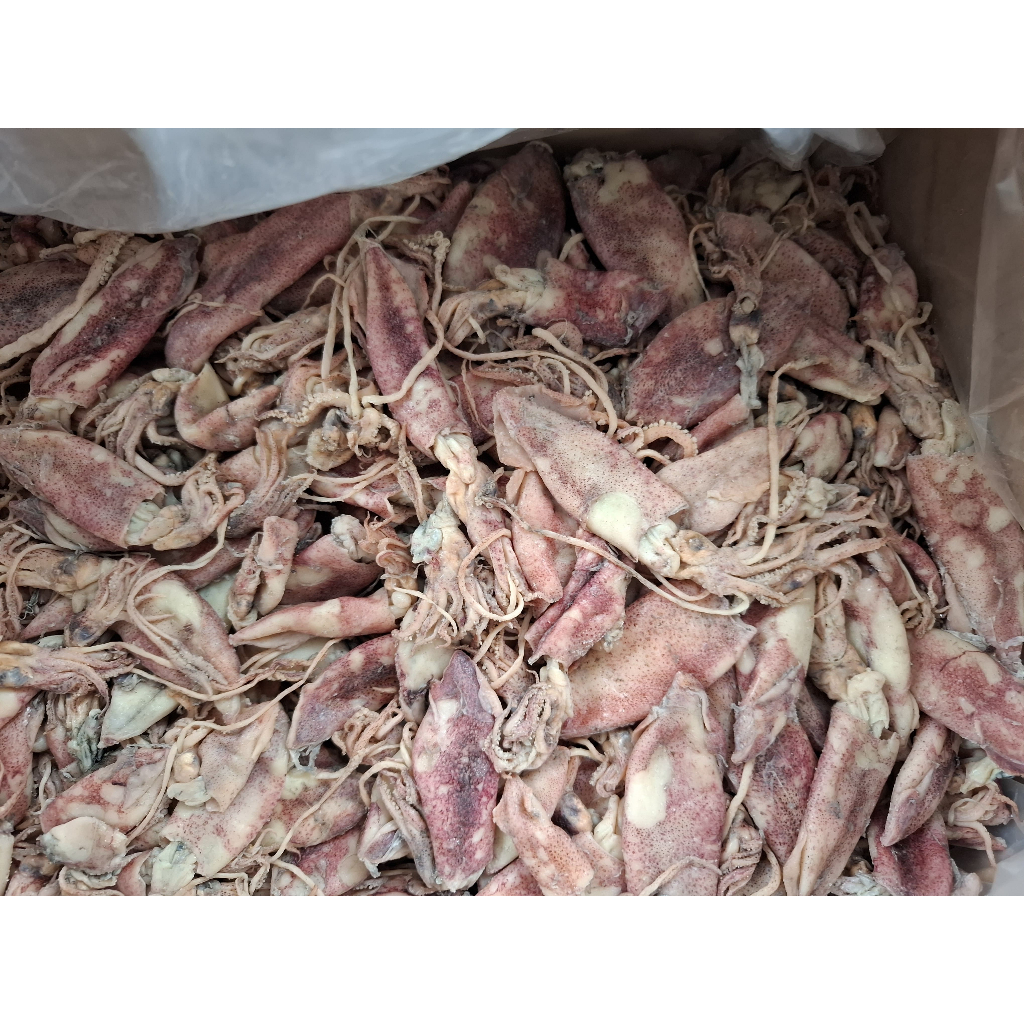 

Grosir Cumi Asin Kemasan 12 Kg Cumi Pen Kering