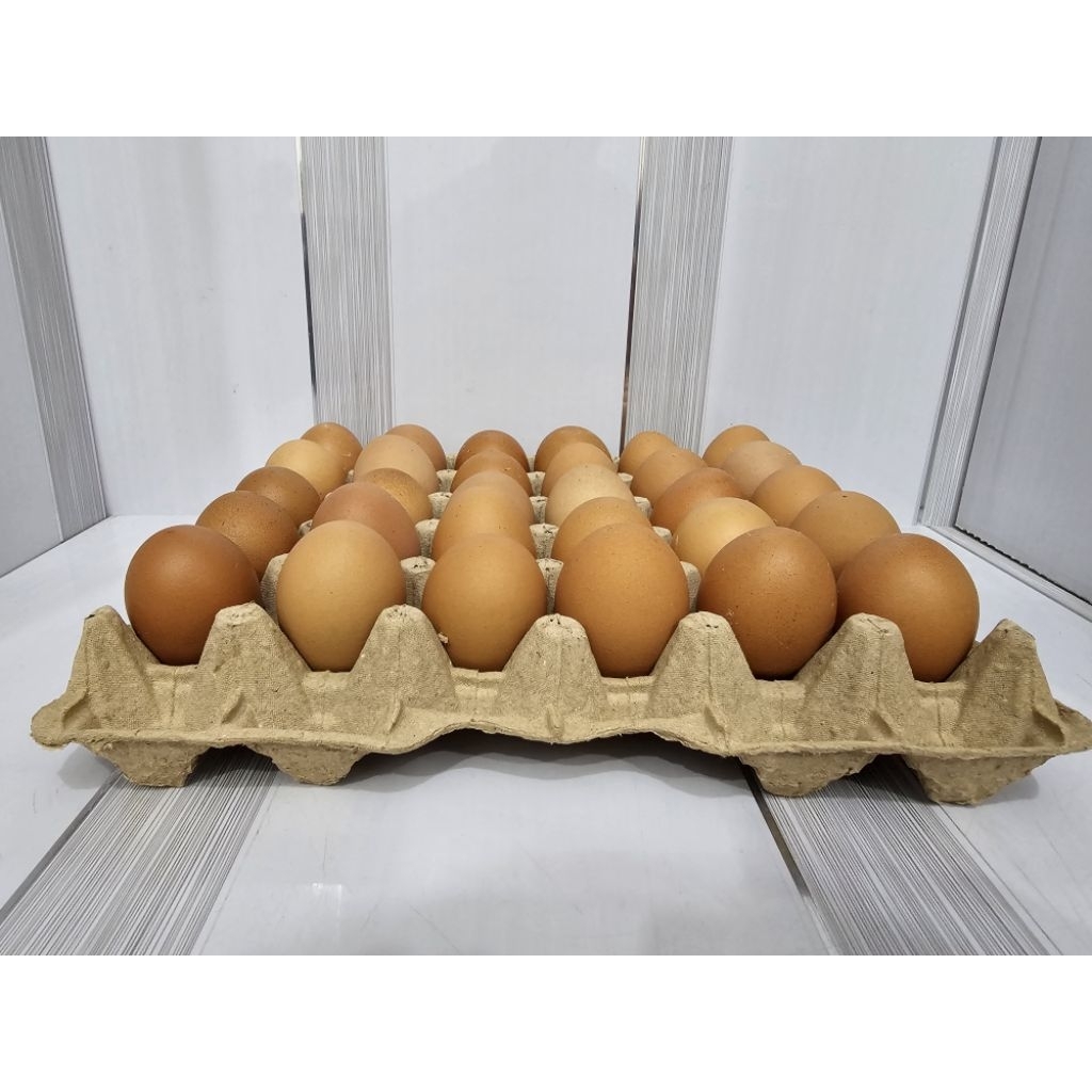 

Telur Ayam 10 Butir / 30 Butir