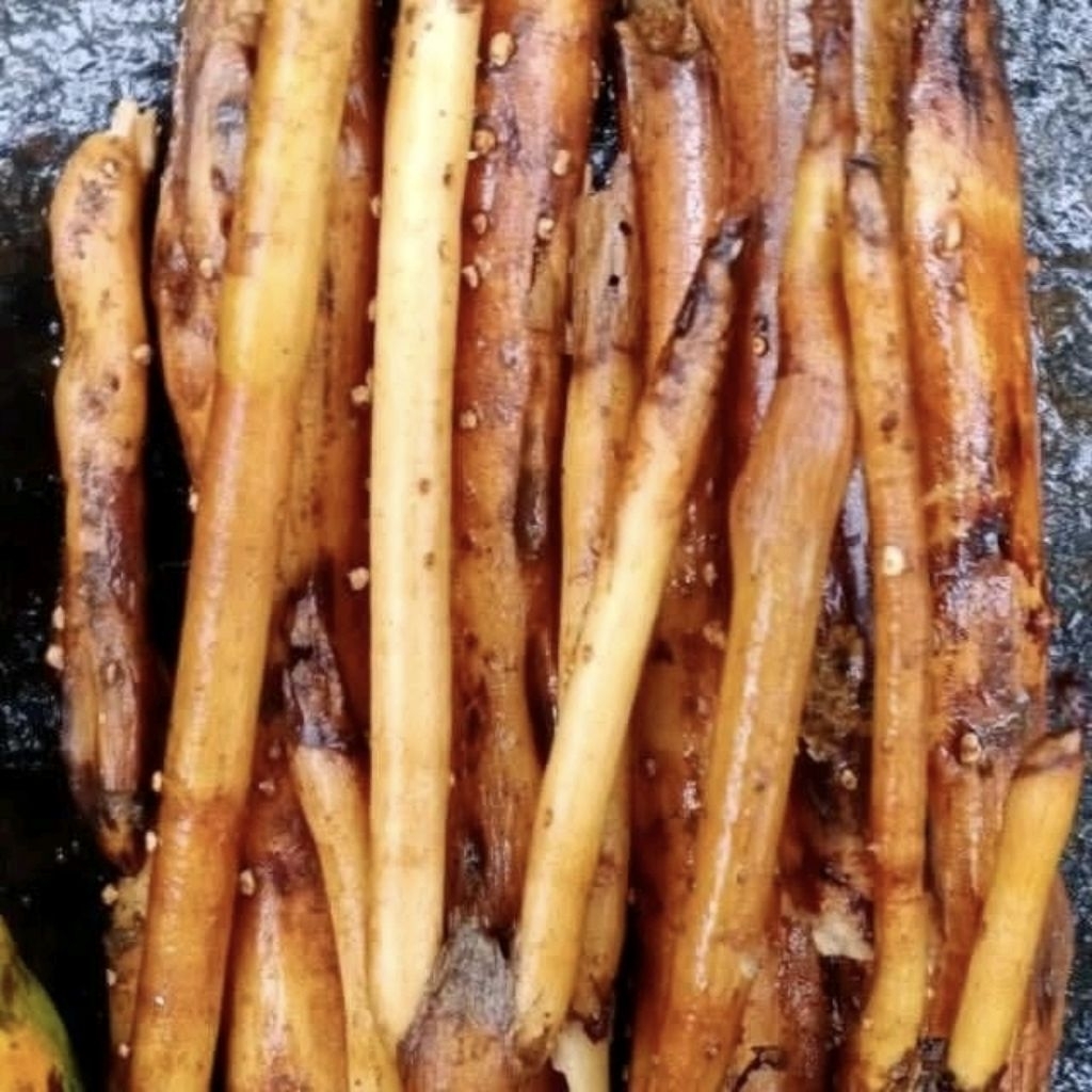 

Akar Pinang 1Kg / Akar Jambe muda/ Herbal / Akar Jambe basah