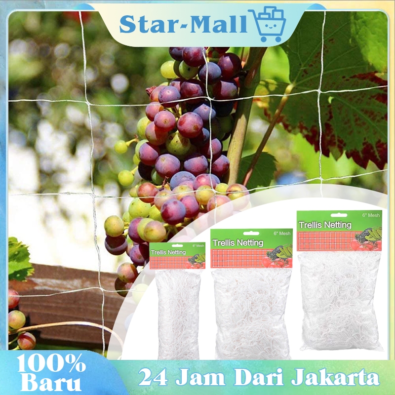 5m 10m 20m Jaring Buat Tanaman Alat Rambatan Tanaman Lanjaran Tanaman Merambat