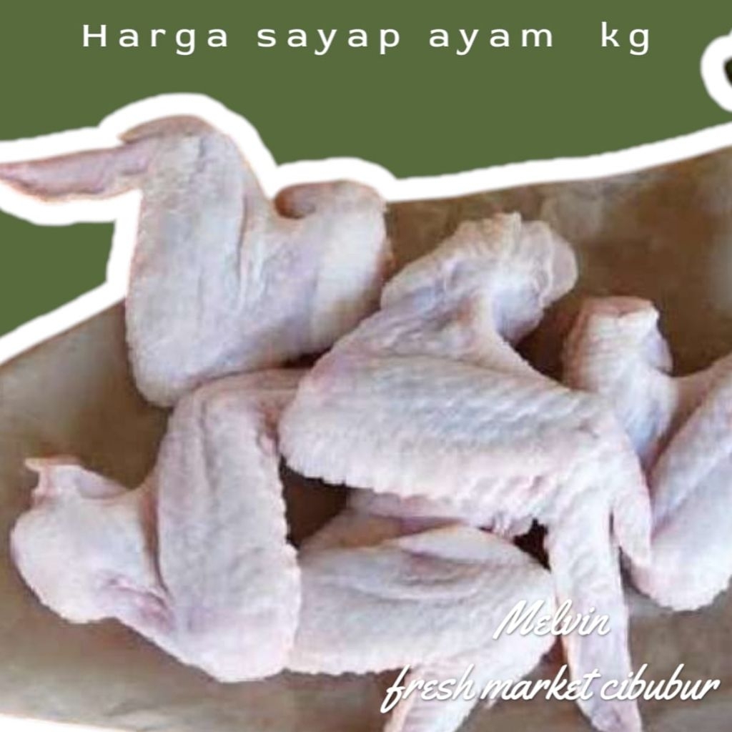 

Sayap Ayam Fresh 1 kg sayap bersih