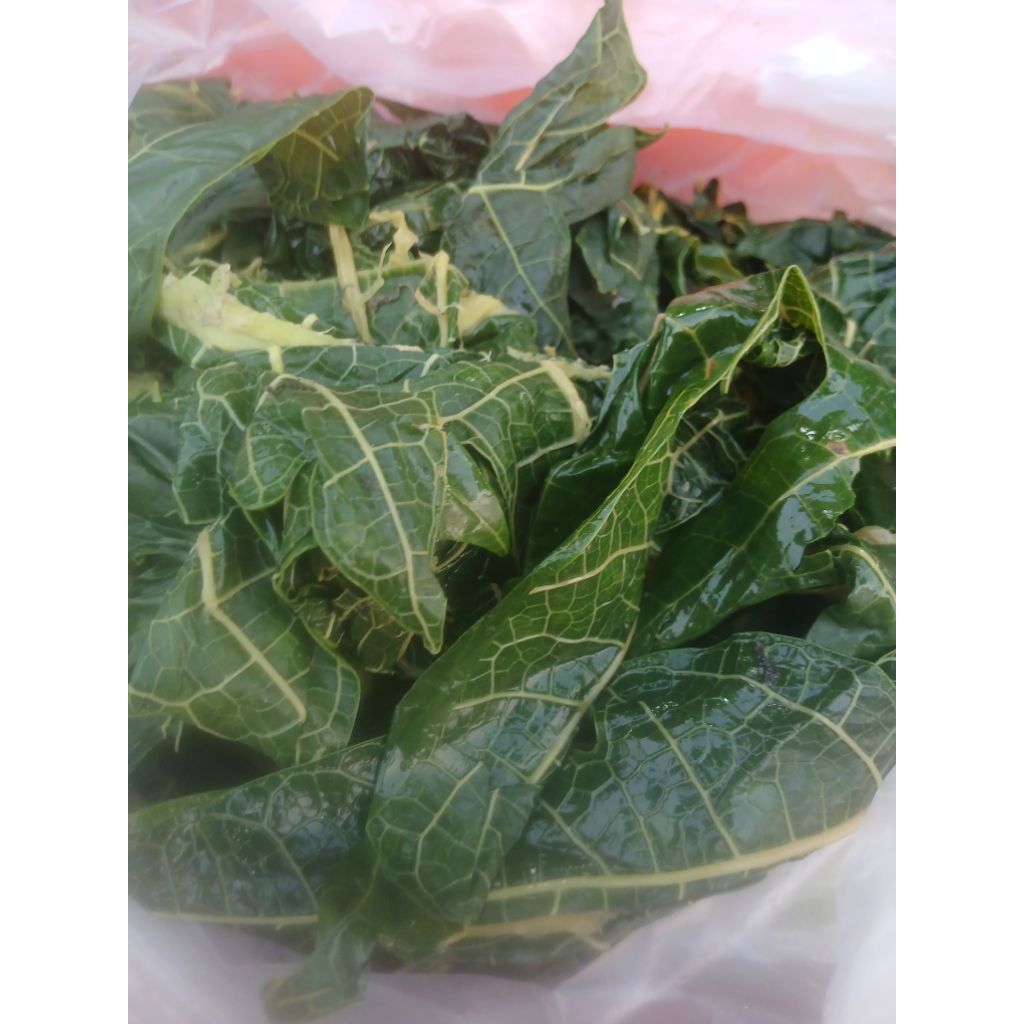 

DAUN PEPAYA REBUS / MATANG 500GRAM
