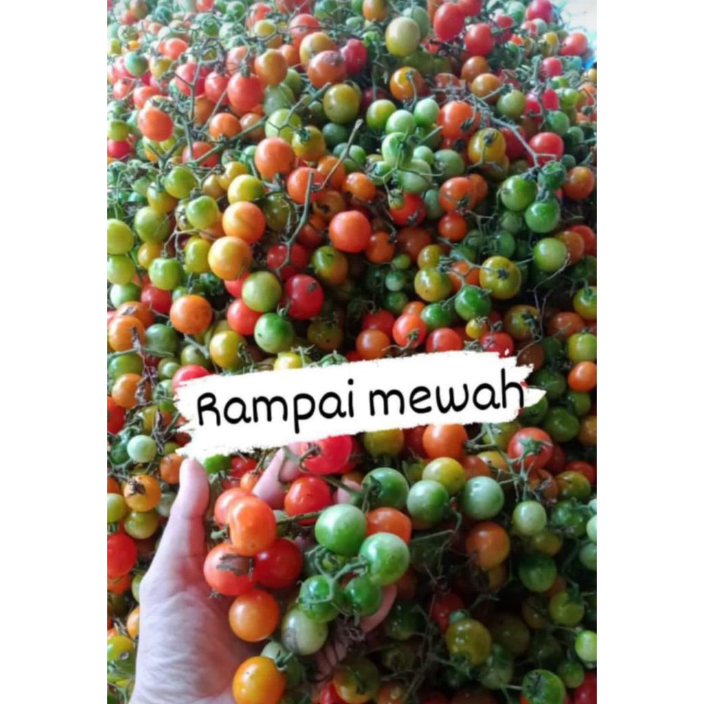 

rampai Lampung 250 gram