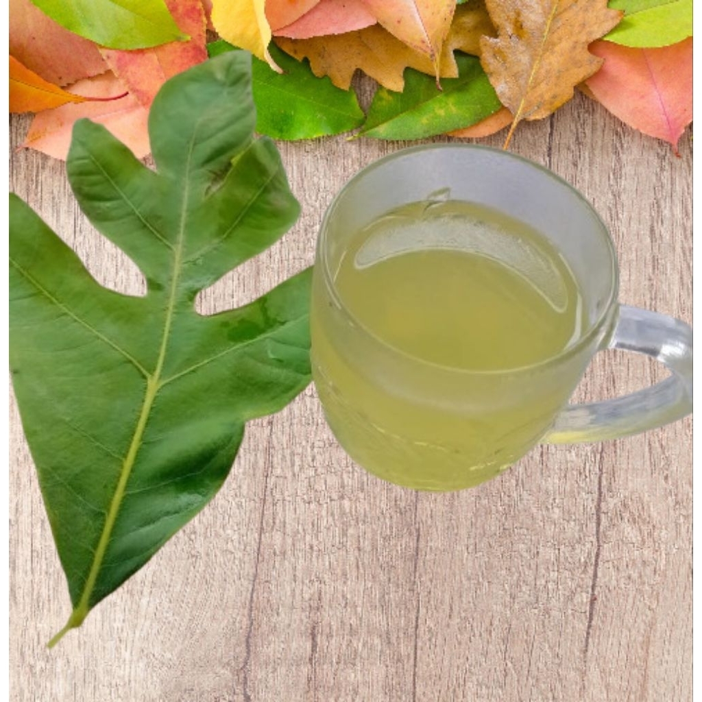 

Daun Sukun Fresh 500gram