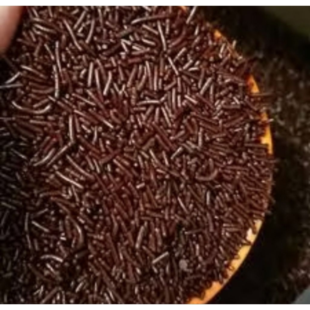 

MESIS COKLAT KILOAN BERKUALITAS PREMIUM