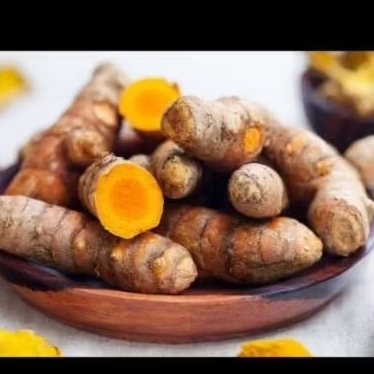 

KUNYIT SEGAR 500GRAM ORGANIK