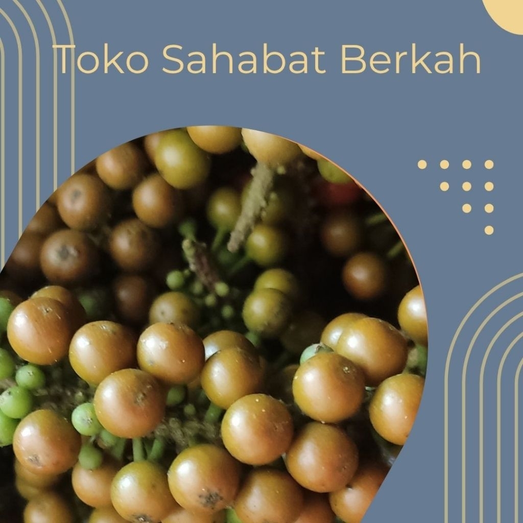 

Kemukus basah segar /kg