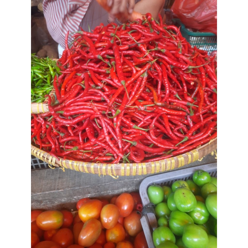 

Cabe Merah panjang 1kg
