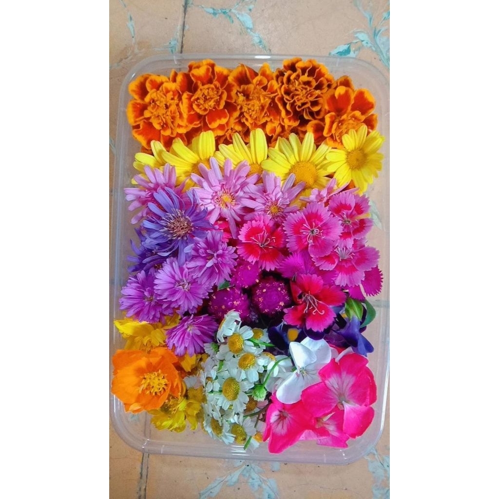 

Edible Flower / Bunga untuk dimakan / Salad Bunga / Garnish bunga / Bunga tabur / Bunga nyekar