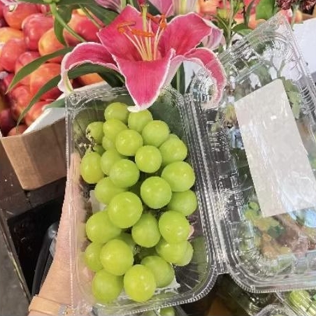 

promo anggur shine Muscat hijau import manis super murah -+500 gram