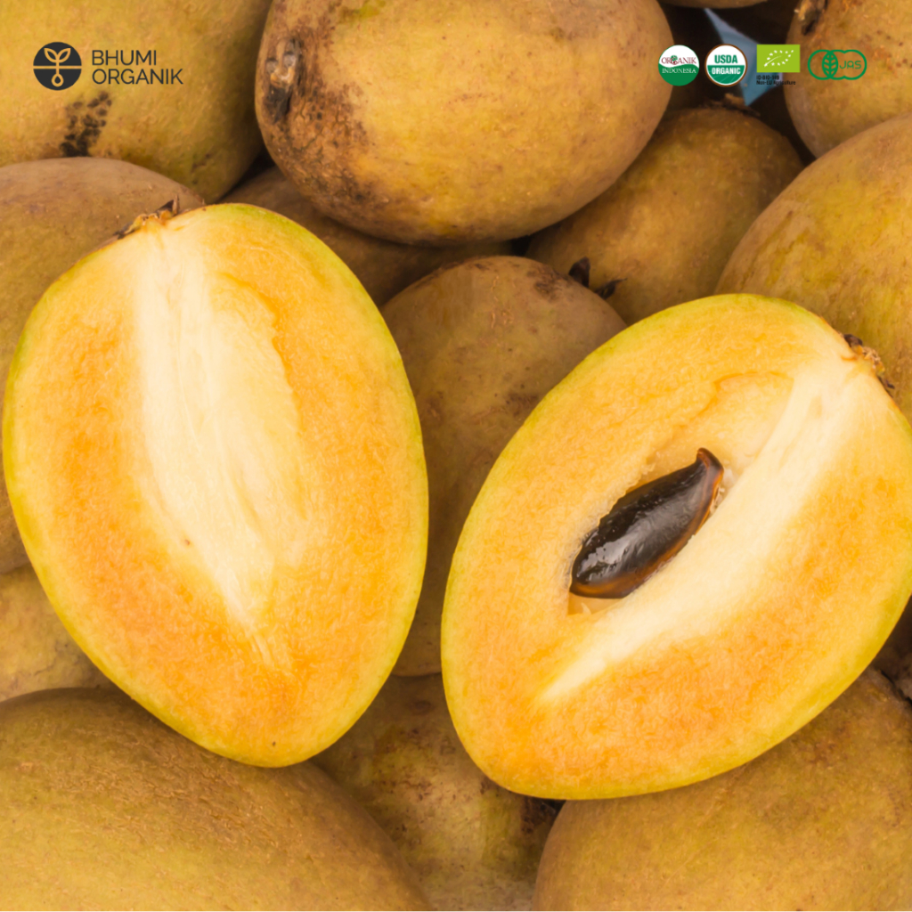 

Sawo Manila Organik 500 gram - Ceritanik / Bhumi Organik - Buah Organik Murah - Buah Organik Sehat - Buah Organik Premium