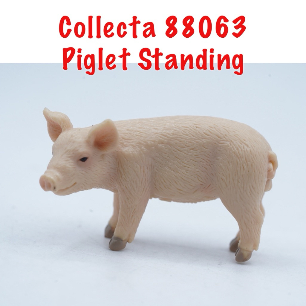 Collecta 88063 Piglet Standing Pig Anak Babi Sus Scrofa Binatang Figure Pajangan Mainan Figure Binat