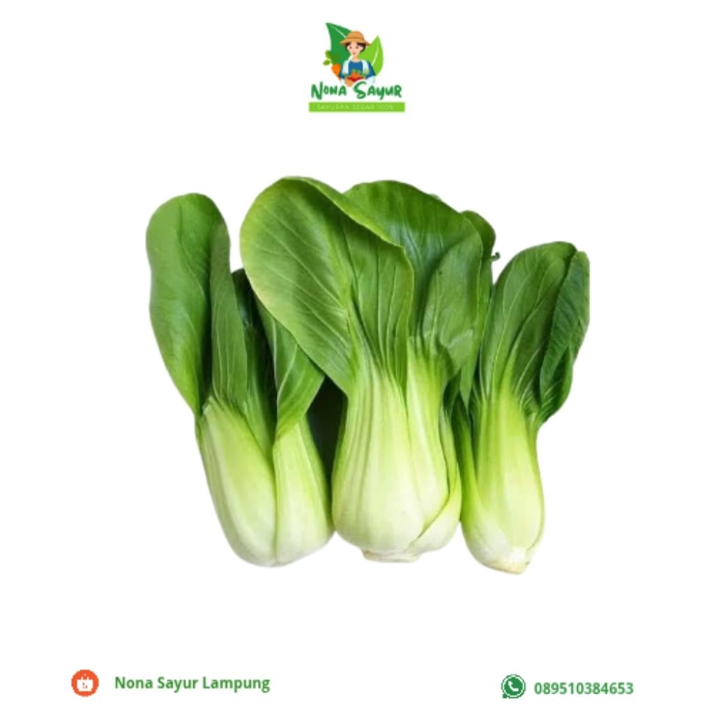 

Pakcoy Hijau Segar 1 Ikat