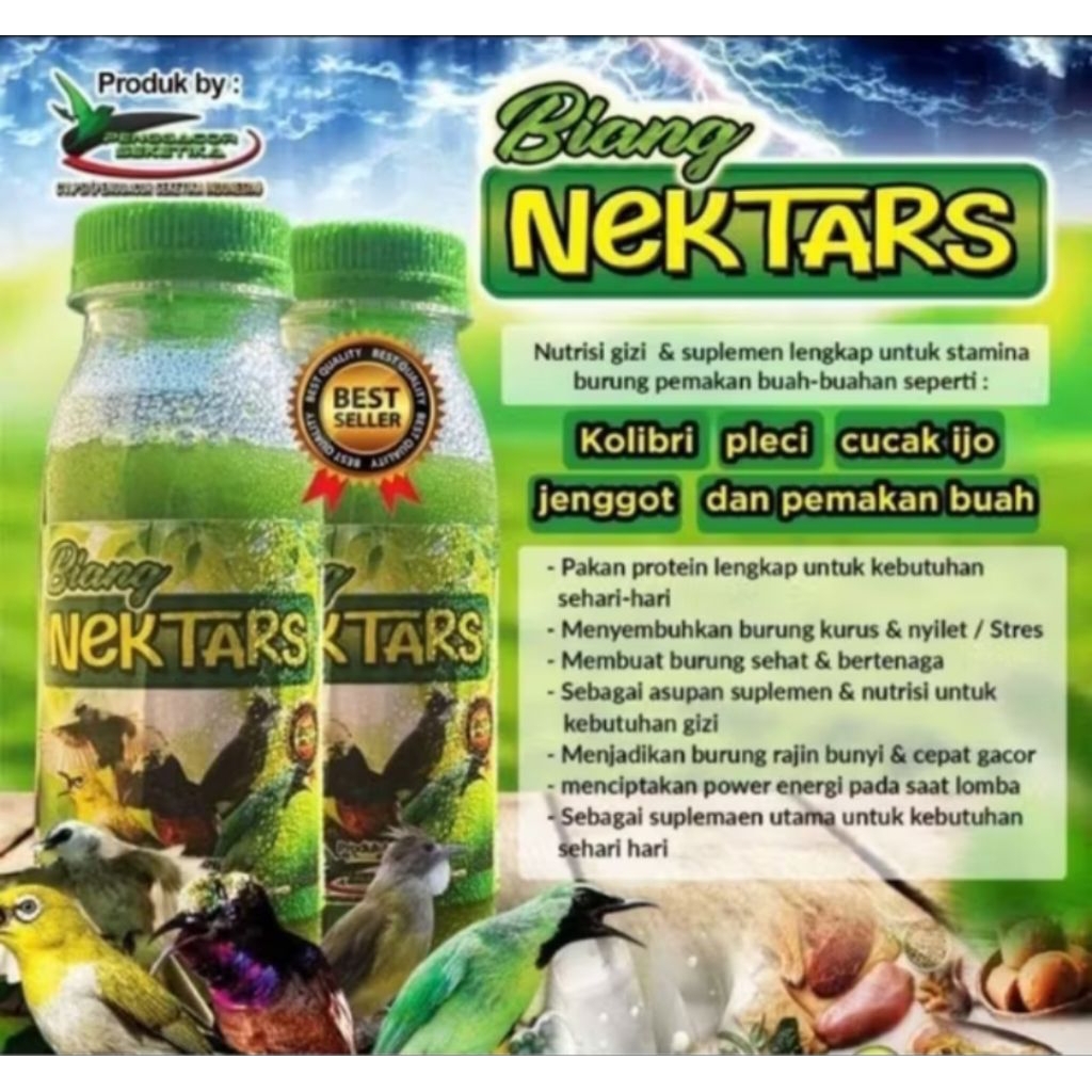 BIANG NEKTAR HIJAU BMW NEKTAR HIJAU NEKTAR BURUNG KOLIBRI PLECI