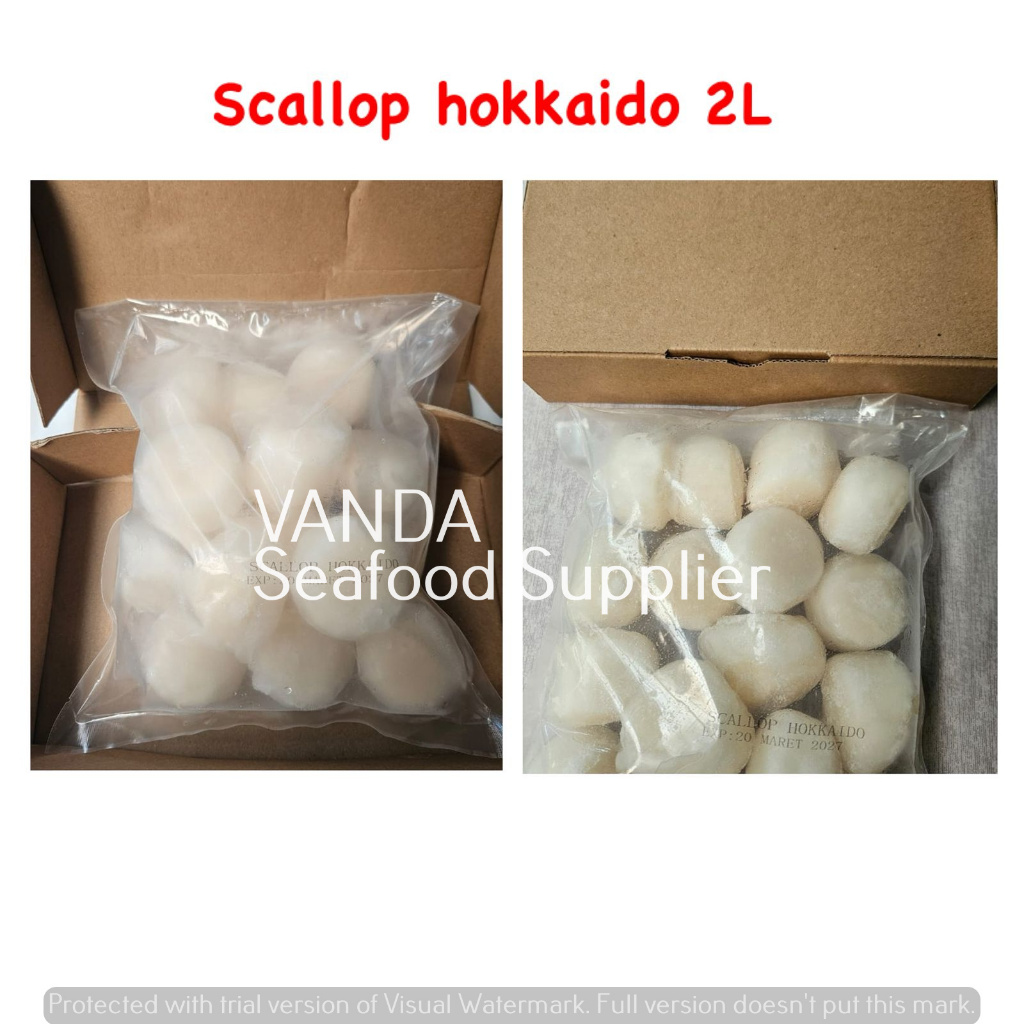 

Scallop Japanese / Hokkaido @ 1kg /pck
