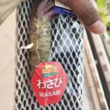 

Wasabi root fresh gift pack -+50 gram