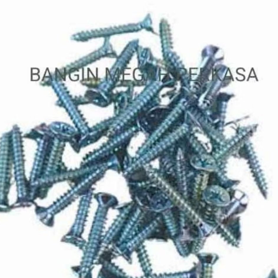 [1 pcs] Sekrup FAB 10x1 (2.54 cm) (+) KEPALA RATA