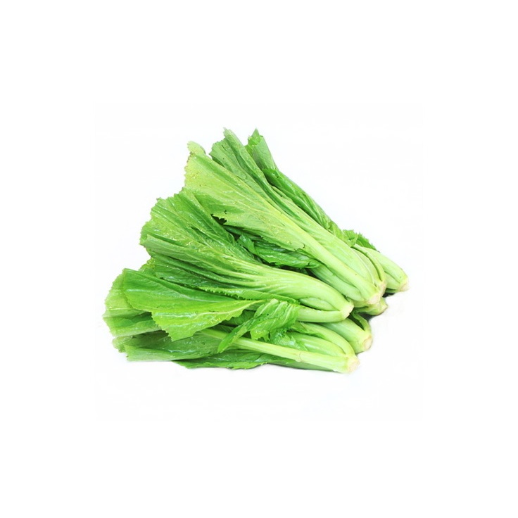 

Sawi Pahit Fresh & Bersih 250gr 500gr Sayur Sayuran Segar Fresh Berkualitas Online Murah Palembang