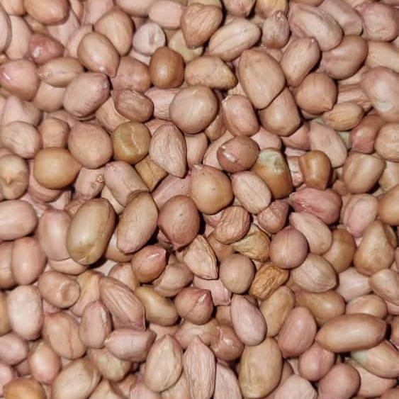 

Kacang Tanah 1 KG India Super Impor Premium Murah Kupas - Bambu Wangi