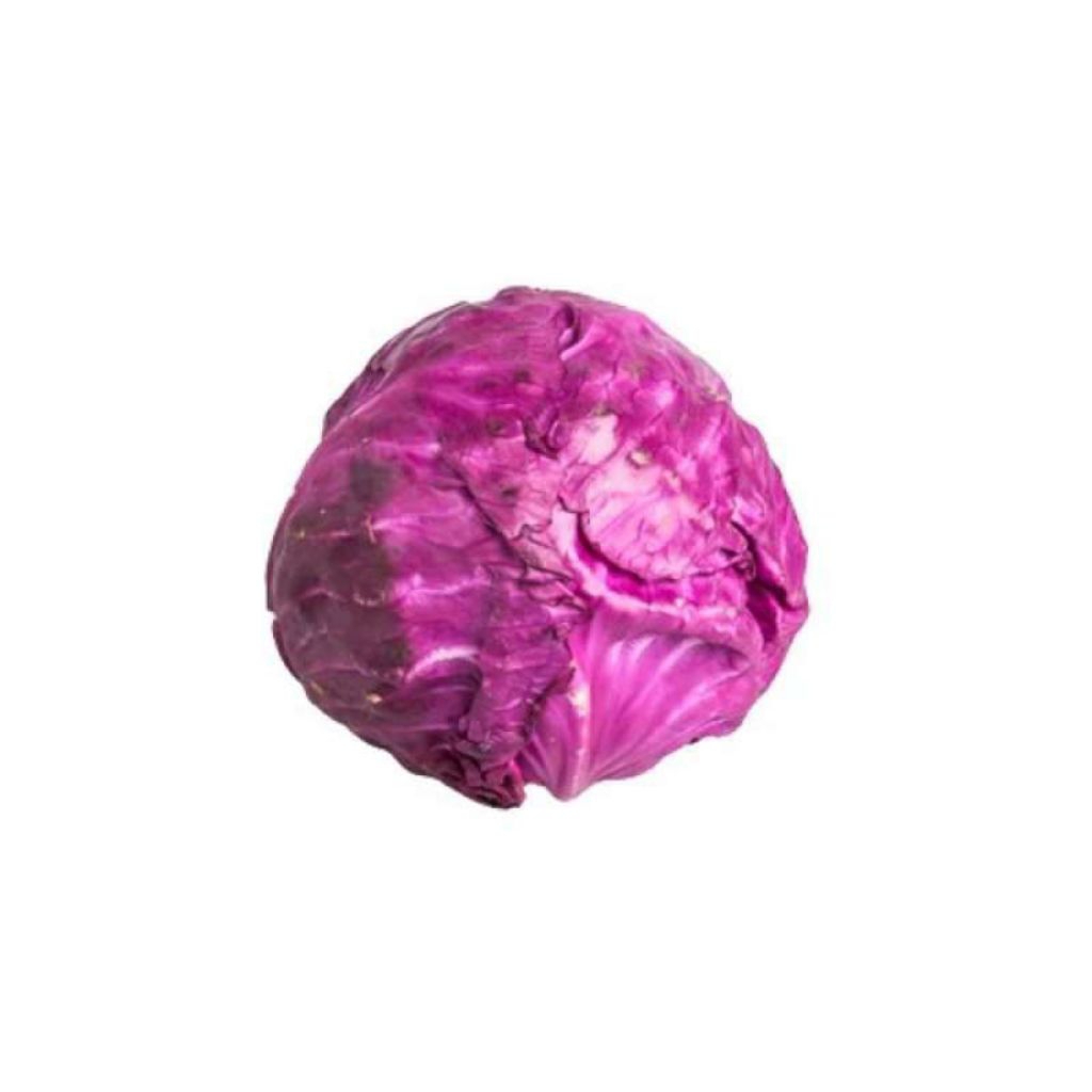 

KOL MERAH / KOL UNGU FRESH 500GR UNTUK SALAD SAYUR (RIAU/PEKANBARU)