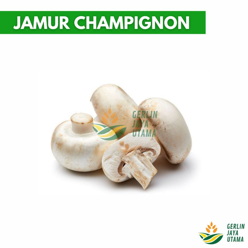 

(1Kg/500Gram/250Gram) Jamur Champignon Fresh